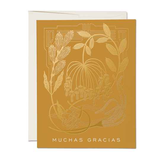 Mustard Cards Boxed Set