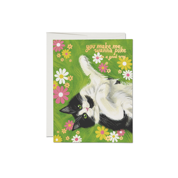 Nice Kitty Card