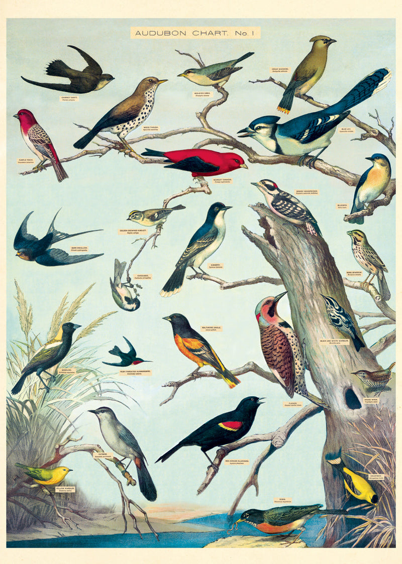 Audubon Birds Wrap (PICK UP ONLY)