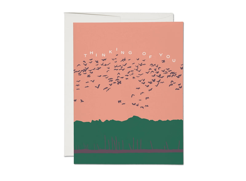 Birds in Flight Thinking of You Encouragement Card