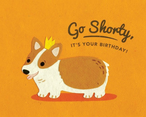 Go Shorty Dog Birthday Card