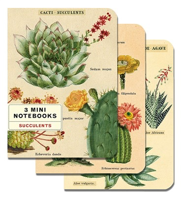 Succulents Mini Notebooks (set of 3)