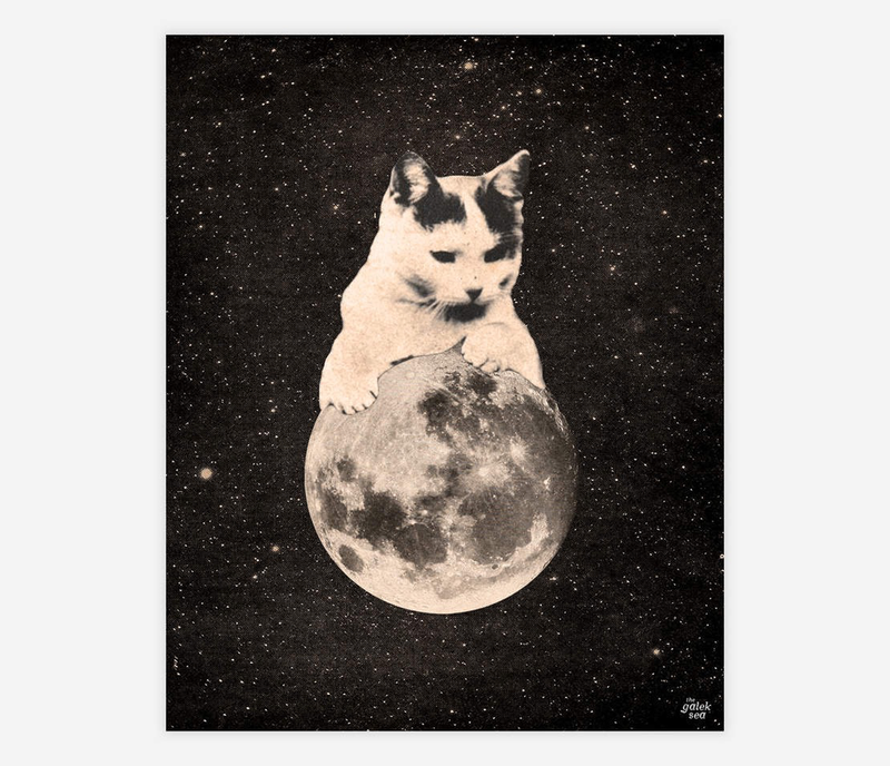 Moon Cat #2 Print (8" x10")