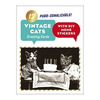 Vintage Cat DIY Meme Boxed Cards