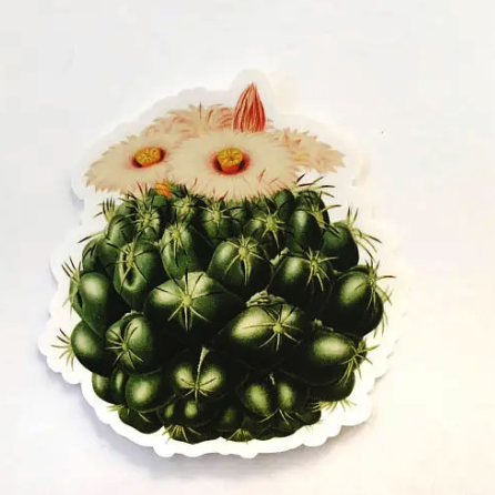 Pink Flower Vintage Cactus Sticker