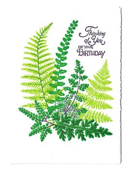 Birthday Ferns Card