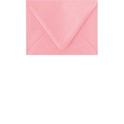Blossom A2 Envelope Pack of 10