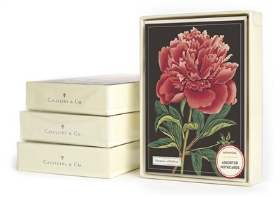 Vintage Botanical Boxed Cards