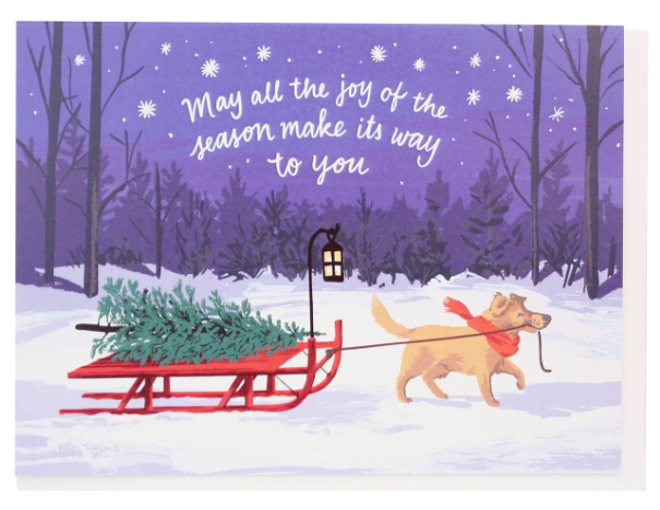 Sled Dog Holiday Boxed Cards