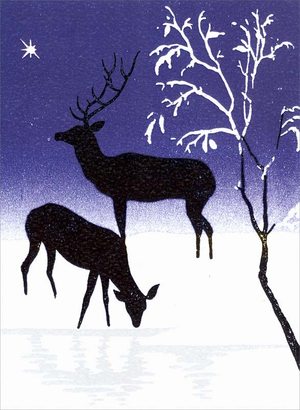Deer in Snow Card Pack