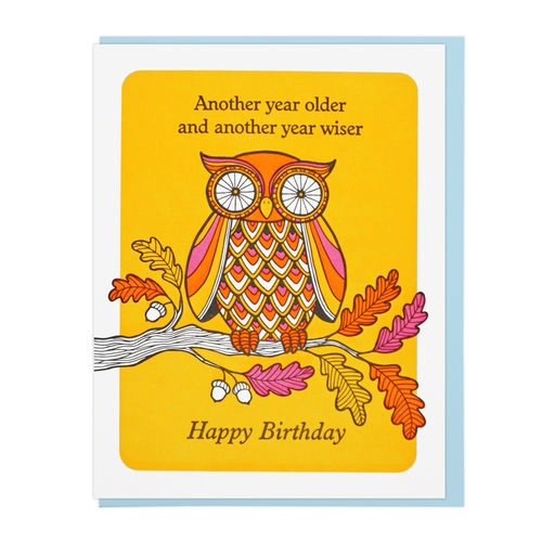 Older And Wiser Owl Birthday Card