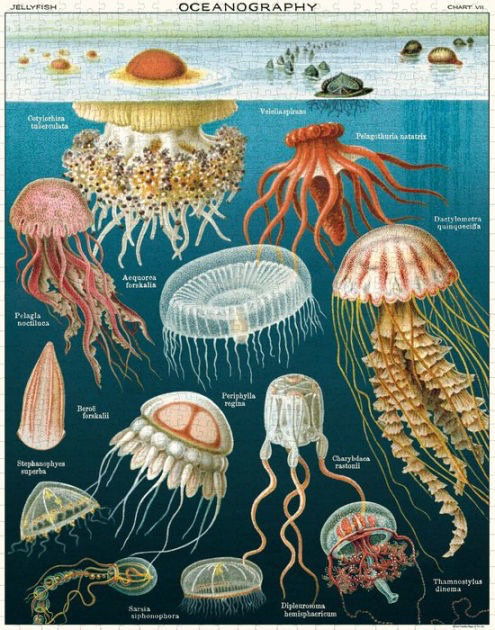 Jellyfish 1,000 Piece Puzzle