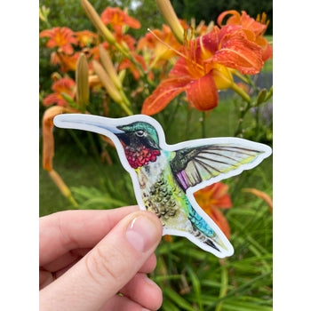 Ruby Throated Hummingbird Sticker