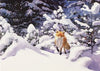 Red Fox In Winter Deluxe Boxed Cards - Set of 20