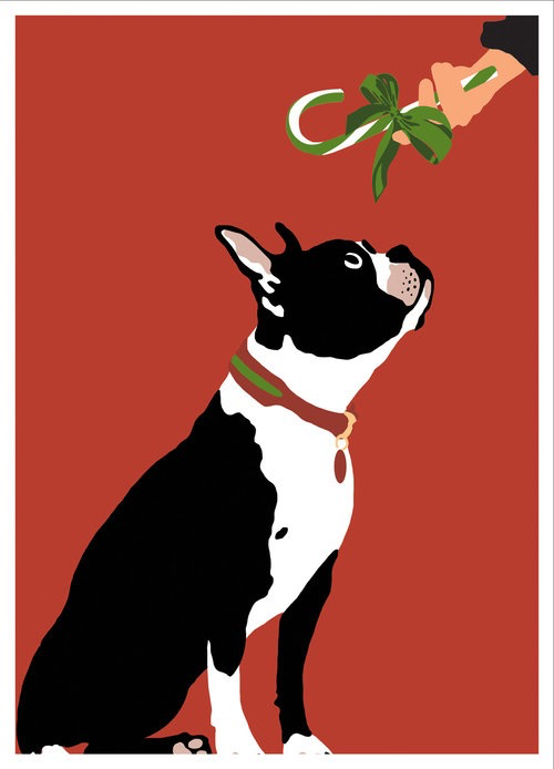 Christmas Boston Terrier Boxed Cards