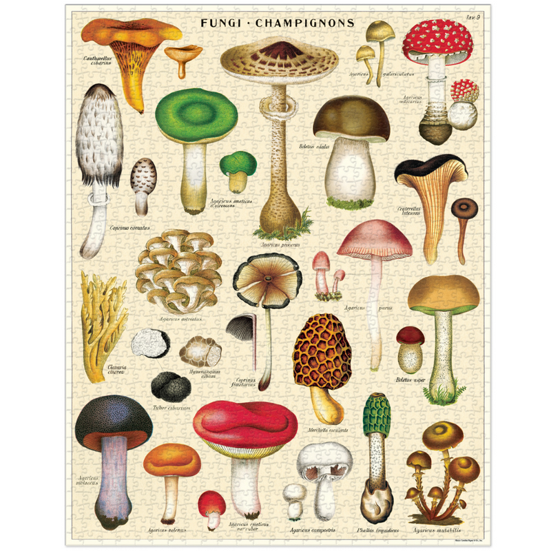 Mushrooms 1,000 Piece Puzzle (Pick up Only)