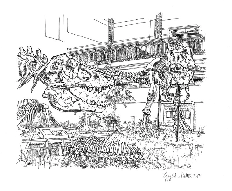 T-Rex at the Carnegie Museum of Natural History Card