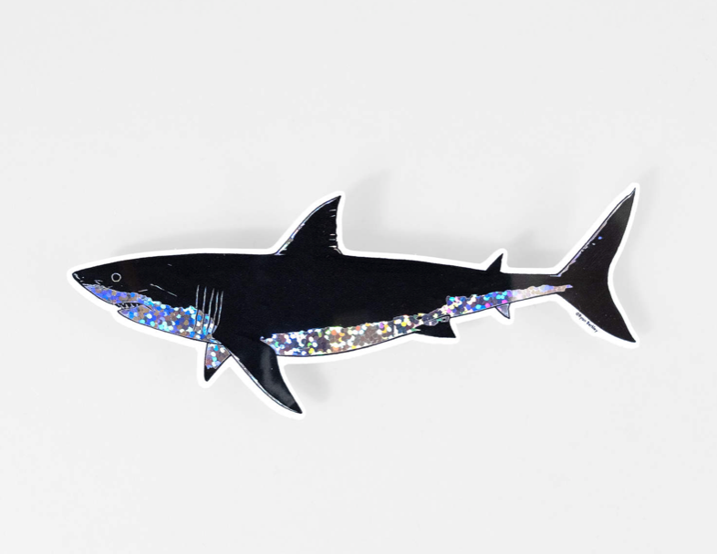 Berkley Illustration - Shark Sticker