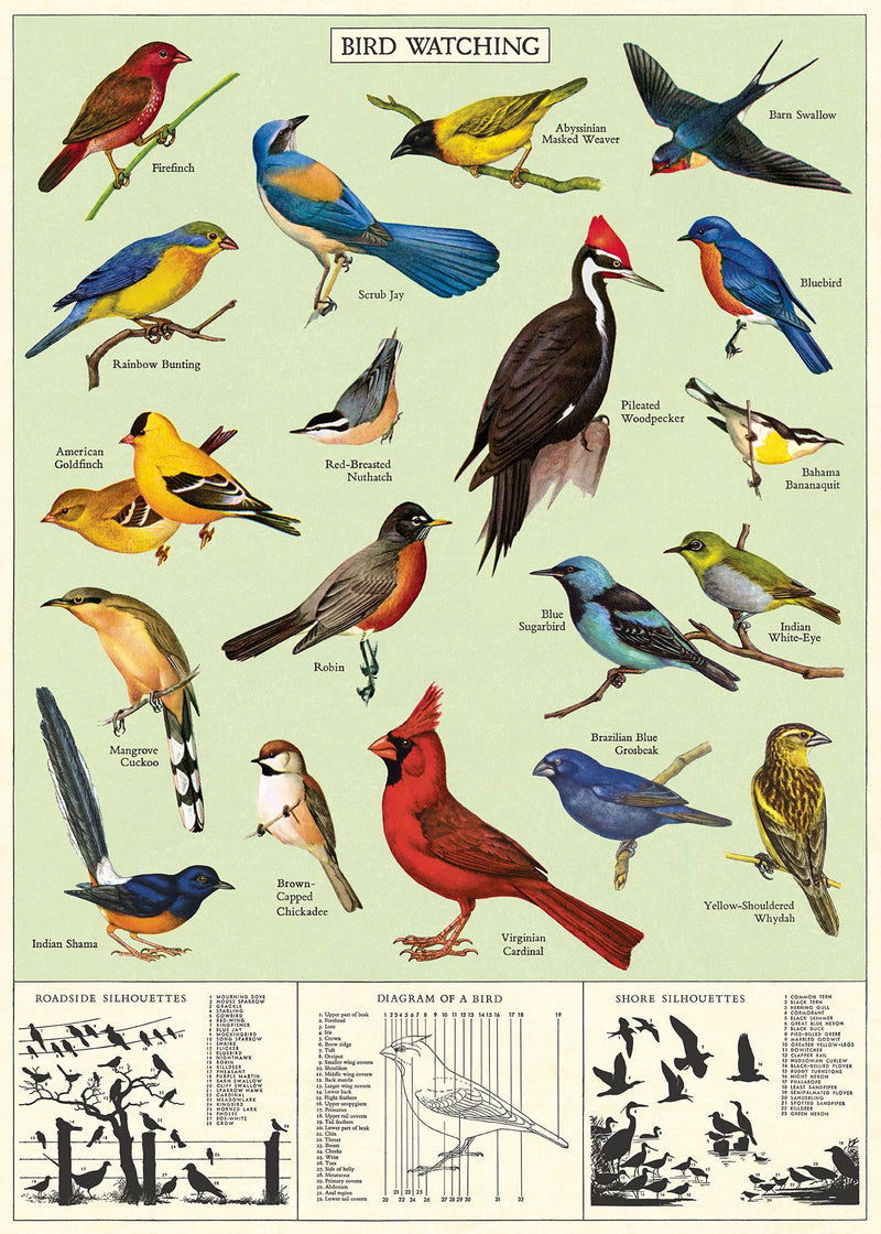 Study Of Birds Wrap (PICK UP ONLY)