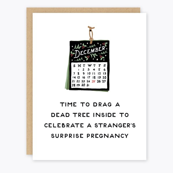 Surprise Pregnancy Holiday Card