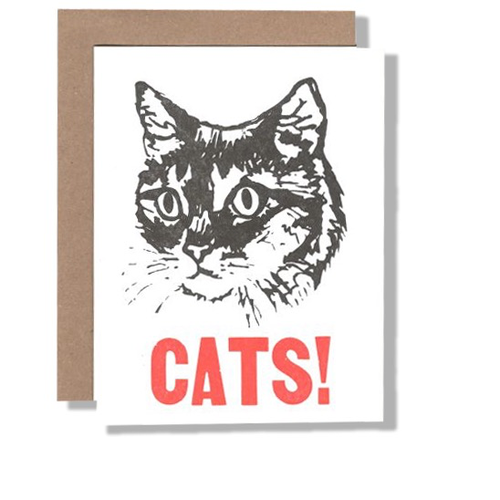 CATS!  Card