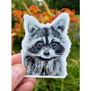 Raccoon Sticker