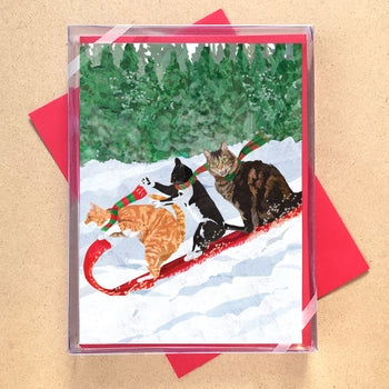 Cats Toboggan Boxed Holiday Cards