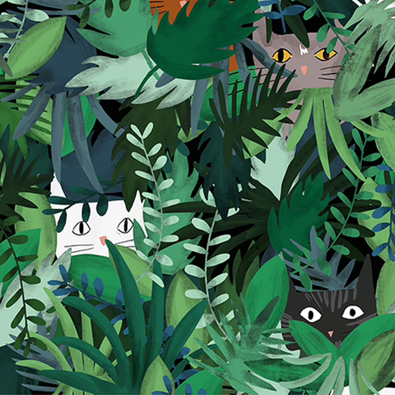 Jungle Cat Wrap Paper (Pick Up Only)